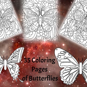 35 Butterfly Coloring Pages Digital Download