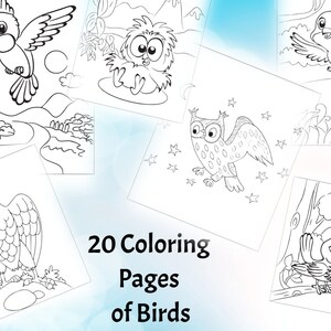 20 Birds Coloring Pages Digital Download