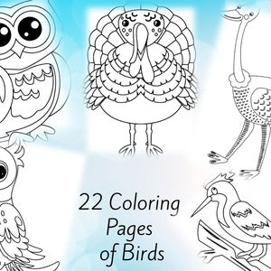 22 Birds Coloring Pages Digital Download