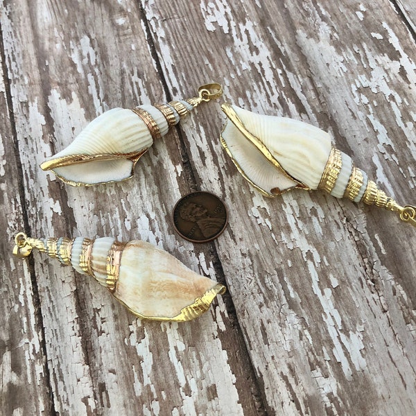 Real Seashell Pendant With 24k Gold Trim Plating White Trumpet Shell Pendant Beach Charm Ocean Pendant Clam Shell Gold Jewelry Supplies 179