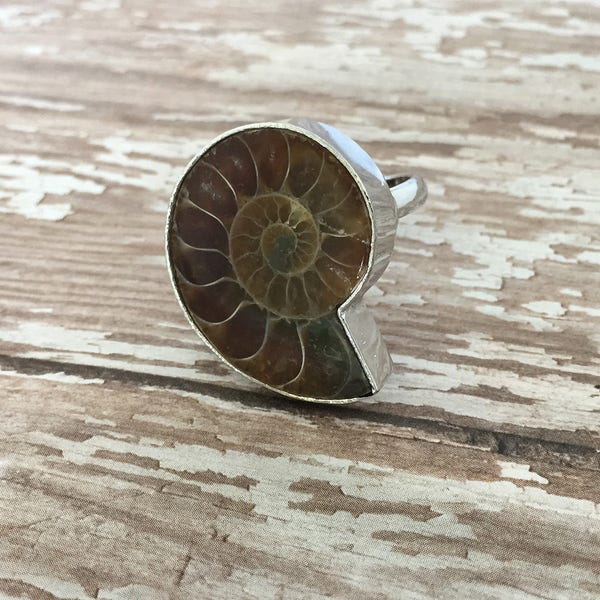 Adjustable Sea Snail Fossil Ring Ammonite Gemstone Fossil Pendant Nautical Sea Shell PendantSilver Base Vintage Style Jewelry 080