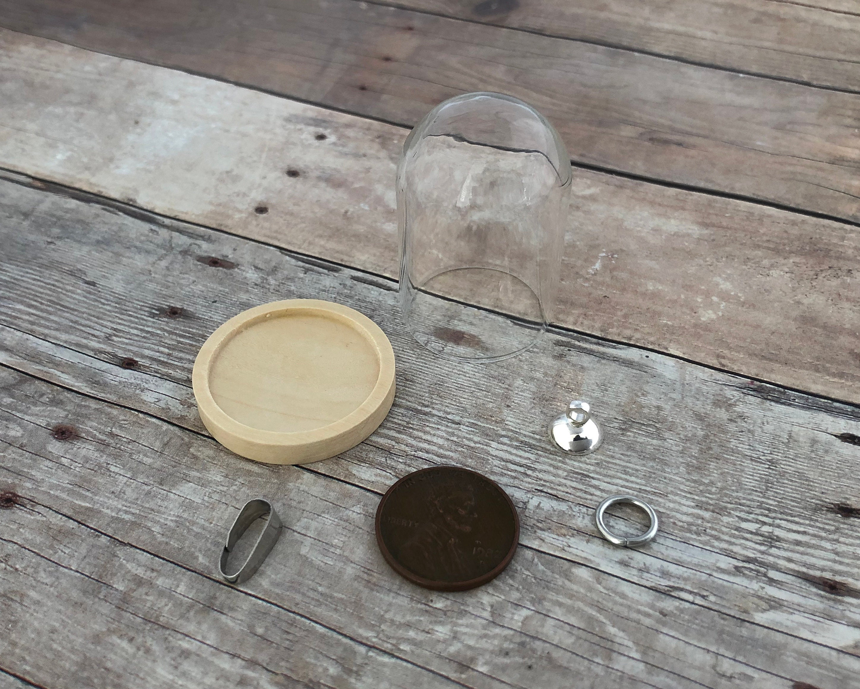 Wood Base Glass Dome Terrarium DIY Kit Glass Globe Bottle Etsy