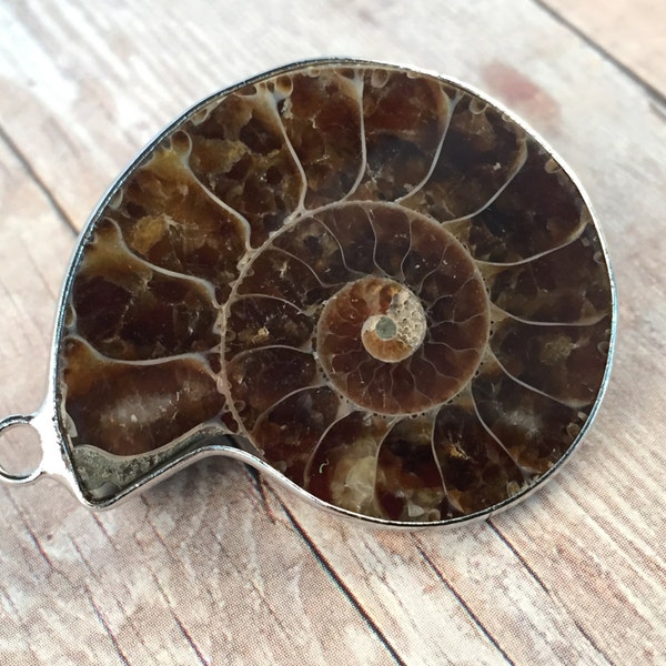 Sea Snail Fossil Charm Ammonite Gemstone Fossil Pendant Nautical Sea Shell Pendant With Loop Vintage Charms Jewelry Supplies  082