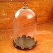 see more listings in the Glass Globe / Domes section