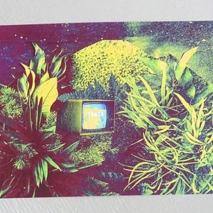 Könnte beinhalten: Ein Fernseher im Vintage-Stil mit einem grünen Bildschirm, auf dem das Wort "ERROR" in einer pixeligen Schriftart angezeigt wird. Der Fernseher ist von üppigen grünen Pflanzen umgeben, vor einem lila und grünen Hintergrund.