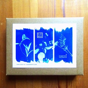 postkarten set, grußkarten, cyanotypie, pflanzen, botanik, kräuter, kraftpapier, "BLUE-BOX II" 10 Karten-Box mit Cyanotypiedrucken
