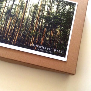 postkarten, grußkarten set, fotografie, spreewald, bäume, wald, natur fotografie, botanik, kraftpapierbox "WALD" 10 Karten-Box