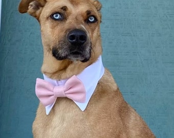 Pink bow tie for dog, light pink bowtie on white shirt collar, dog ring bearer wedding attire, Twinkle Mingle