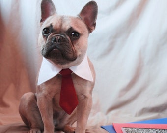 More Colors- Burgundy necktie collar, dog tuxedo collar with tie, cat necktie, wedding dog tie collar, burgundy / dark red / cabernet