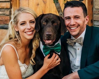 Dark Green bow tie collar for dog ring bearer, dog tuxedo collar, dog bowtie, dog wedding, hunter green dog shirt collar, satin or twill