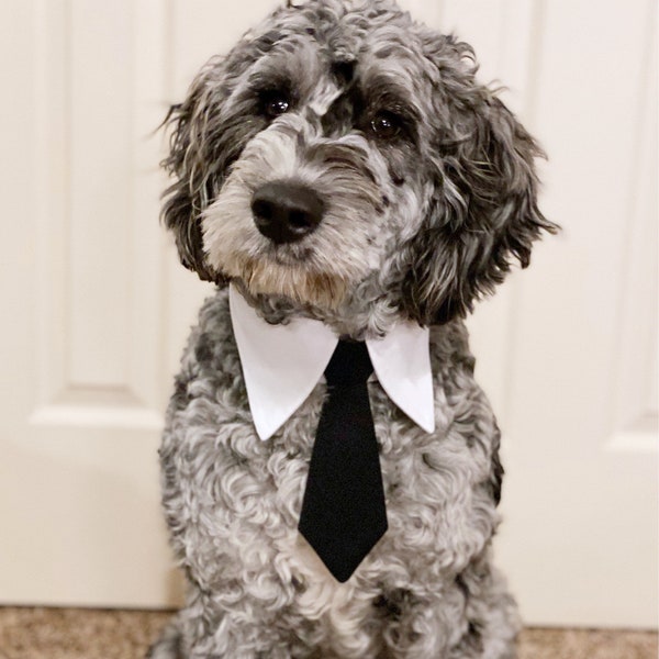 More Colors Available- Dog necktie collar, dog formal tuxedo collar, dog necktie, dog tie, pet neck tie, pet / dog wedding black necktie