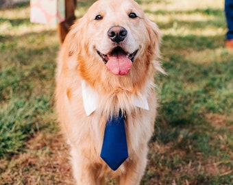 Navy Blue Dog Necktie Collar, dog formal tuxedo collar, dog necktie point collar, dog tie, pet neck tie, navy wedding tie, dog neck tie