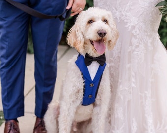 Custom Tuxedo Suit Vest Dog Harness with Detachable Bowtie – Royal Blue or Other Colors – Perfect for Ring Bearer, Best Dog, or Dog of Honor