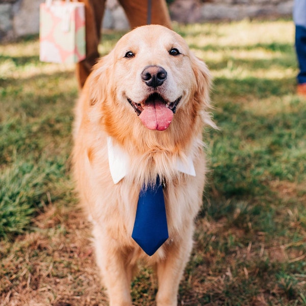 Navy Blue Dog Necktie Collar, dog formal tuxedo collar, dog necktie point collar, dog tie, pet neck tie, navy wedding tie, dog neck tie