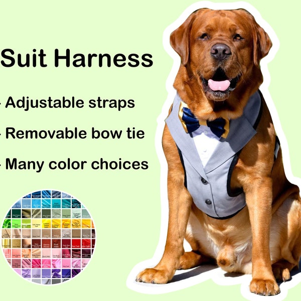 Wedding Dog Harness Etsy