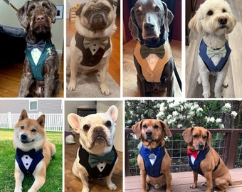 Choose Your Colors - Tuxedo Dog Harness, Dog Wedding Suit Vest, Wedding Dog Harness, Dog Ring Bearer Harness, Adjustable Harness For Pets