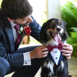 Burgundy bow tie dog suit bandana, OVER-THE-COLLAR dog formal bandana, dark red, engagement photo, dog wedding tuxedo, dog wedding shirt tux