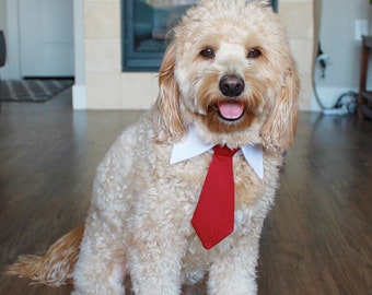 Red Tie for pets, Dog necktie collar, dog formal tuxedo collar, dog necktie, red dog tie, pet neck tie, pet / dog wedding collar red necktie