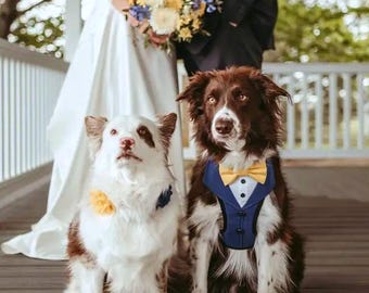 Custom Tuxedo Dog Harness for Weddings – Formal Dog Suit, Ring Bearer Outfit, Dog Costume for Special Occasions