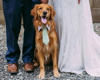 Dusty Sage green tie for pets, Dog necktie collar, dog formal tuxedo collar, dog necktie, pet neck tie, pet / dog wedding collar necktie