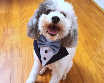 Dusty Blue Velvet dog tuxedo bandana, dog bow tie collar, dog bowtie bib, dog formal suit, bow tie, dog wedding tux. Grey/Black/Navy attire