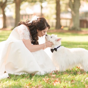 May include: A bride in a white wedding dress kneels on the grass and kisses a white West Highland White Terrier wearing a black bow tie.