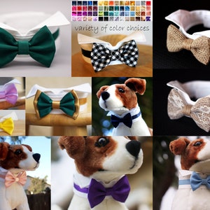 May include: A variety of bow ties for dogs, including a green bow tie, a black and white checkered bow tie, a brown burlap bow tie, a purple bow tie, a blue bow tie, and a pink bow tie. The bow ties are shown on a white collar with a variety of dog breeds.