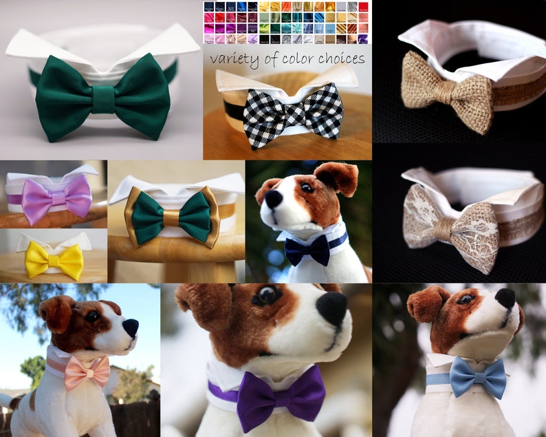 May include: A variety of bow ties for dogs, including a green bow tie, a black and white checkered bow tie, a brown burlap bow tie, a purple bow tie, a blue bow tie, and a pink bow tie. The bow ties are shown on a white collar with a variety of dog breeds.