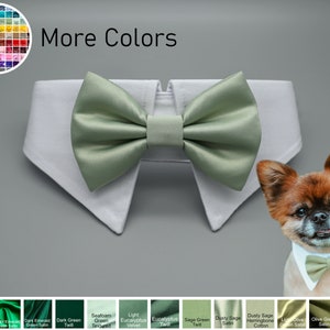 May include: A white dog collar with a green satin bow tie. The collar has a white, folded-over design. The dog is wearing a smaller green bow tie. The image shows a variety of green colors for the bow tie, including seafoam green, eucalyptus green, sage green, dusty sage, and olive green.
