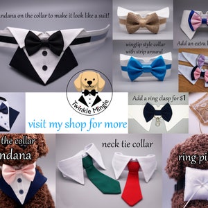 More Colors Available Dog bow tie collar, dog tuxedo collar, dog bowtie, dog formal collar, pet bow tie, pet / dog wedding bow tie image 10