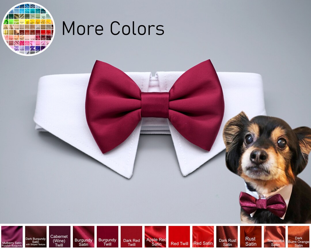 Burgundy Dog Bow Tie Collar Dog Tuxedo Collar Dog Bowtie Dark Red Dog Formal Collar Pet Wedding Bow Tie Apple Red Cabernet Wine Color Etsy