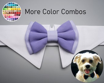 Two colors bowtie- dog bow tie collar, double layered bowtie dog collar, dog bow tie tuxedo, dog formal collar, lavender light purple