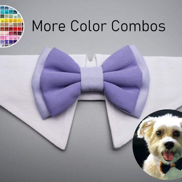 Two colors bowtie- dog bow tie collar, double layered bowtie dog collar, dog bow tie tuxedo, dog formal collar, lavender light purple