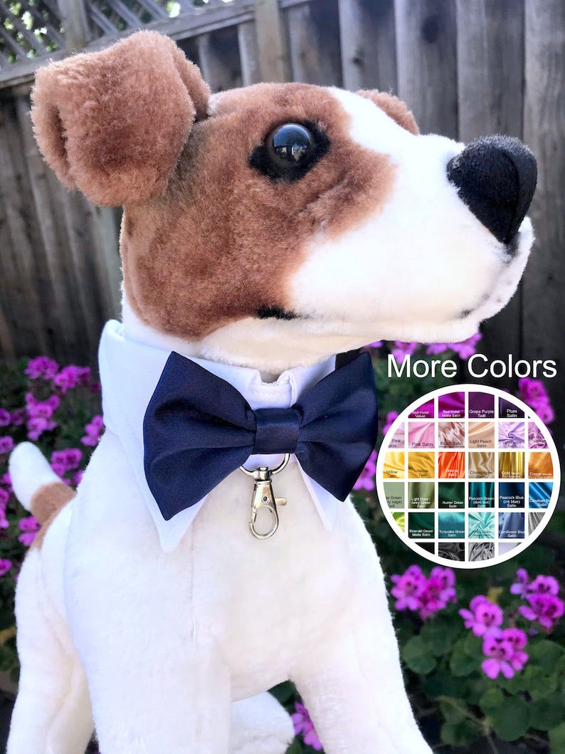 dog collar ring holder