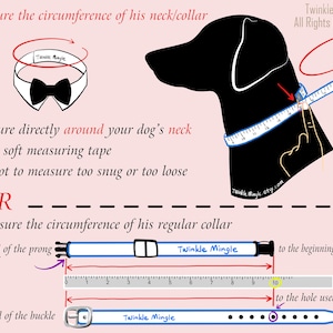More Colors Available Dog bow tie collar, dog tuxedo collar, dog bowtie, dog formal collar, pet bow tie, pet / dog wedding bow tie image 9