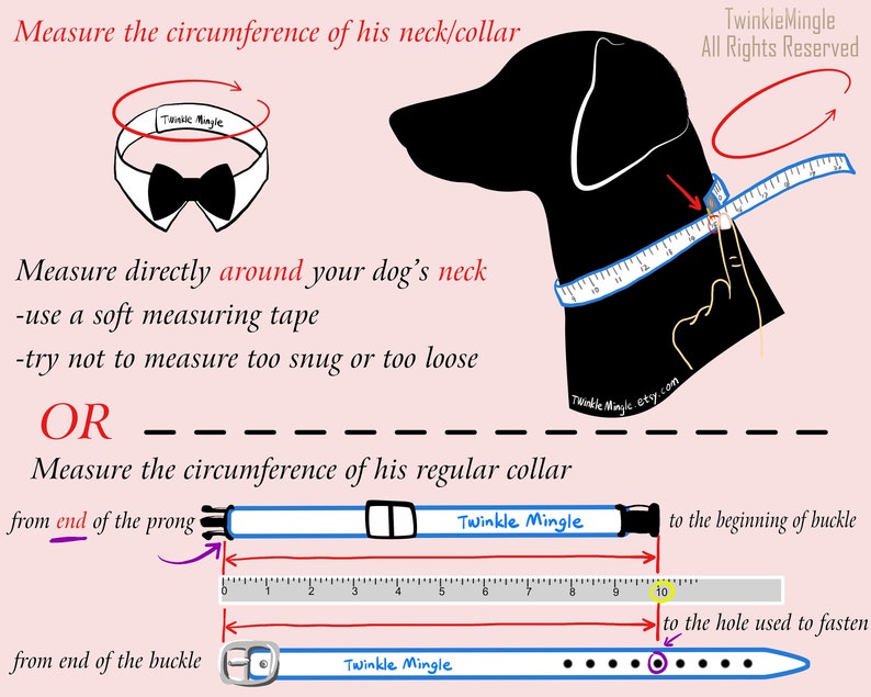 More Colors Available Dog bow tie collar, dog tuxedo collar, dog bowtie, dog formal collar, pet bow tie, pet / dog wedding bow tie image 9