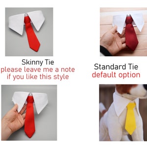 Red Tie for pets, Dog necktie collar, dog formal tuxedo collar, dog necktie, red dog tie, pet neck tie, pet / dog wedding collar red necktie image 4