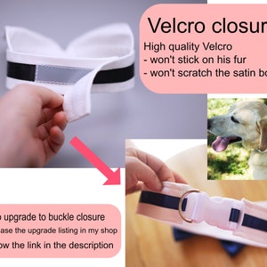 May include: White dog collar with a black satin ribbon and a velcro closure. The collar is shown being held open with a hand. The text "Velcro closure" is shown in pink. The text "High quality Velcro - won't stick on his fur - won't scratch the satin bow tie" is shown in black. The text "to upgrade to buckle closure purchase the upgrade listing in my shop follow the link in the description" is shown in pink.