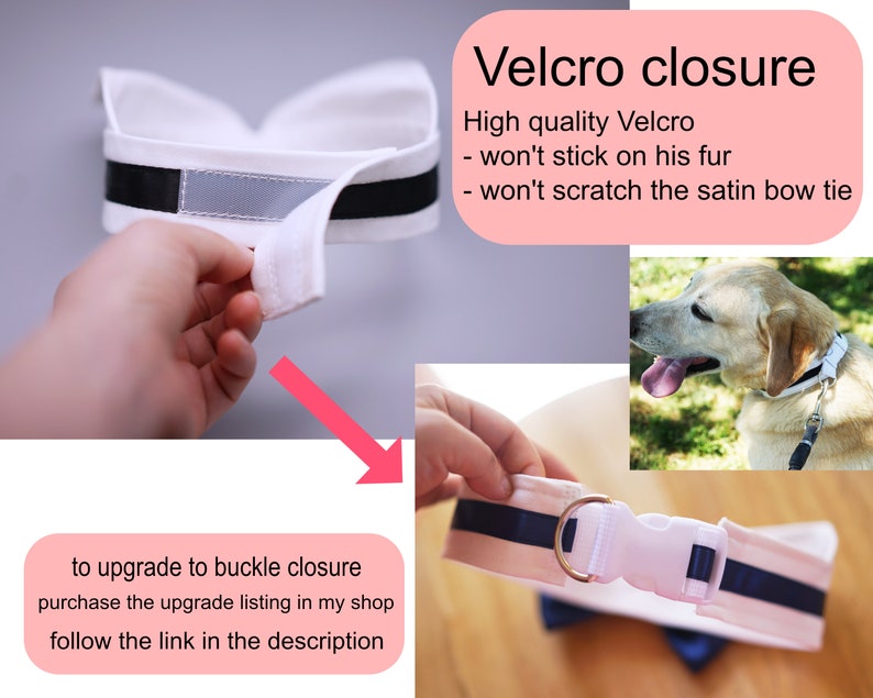 May include: White dog collar with a black satin ribbon and a velcro closure. The collar is shown being held open with a hand. The text "Velcro closure" is shown in pink. The text "High quality Velcro - won't stick on his fur - won't scratch the satin bow tie" is shown in black. The text "to upgrade to buckle closure purchase the upgrade listing in my shop follow the link in the description" is shown in pink.