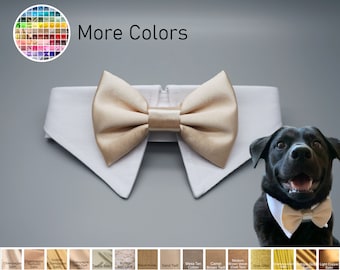 Champagne dog bow tie collar, dog shirt collar, dog bowtie, dog formal collar, pet cat dog wedding attire, bow tie, engagement photography