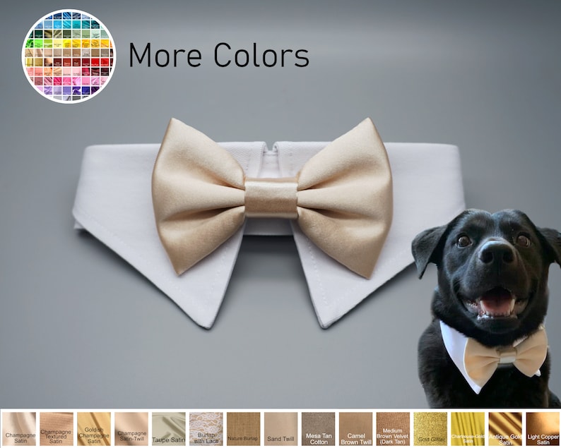 May include: A white dog collar with a gold satin bow tie. The collar is on a gray background. The text "More Colors" is at the top of the image. Below the image, there are swatches of different colors of fabric.