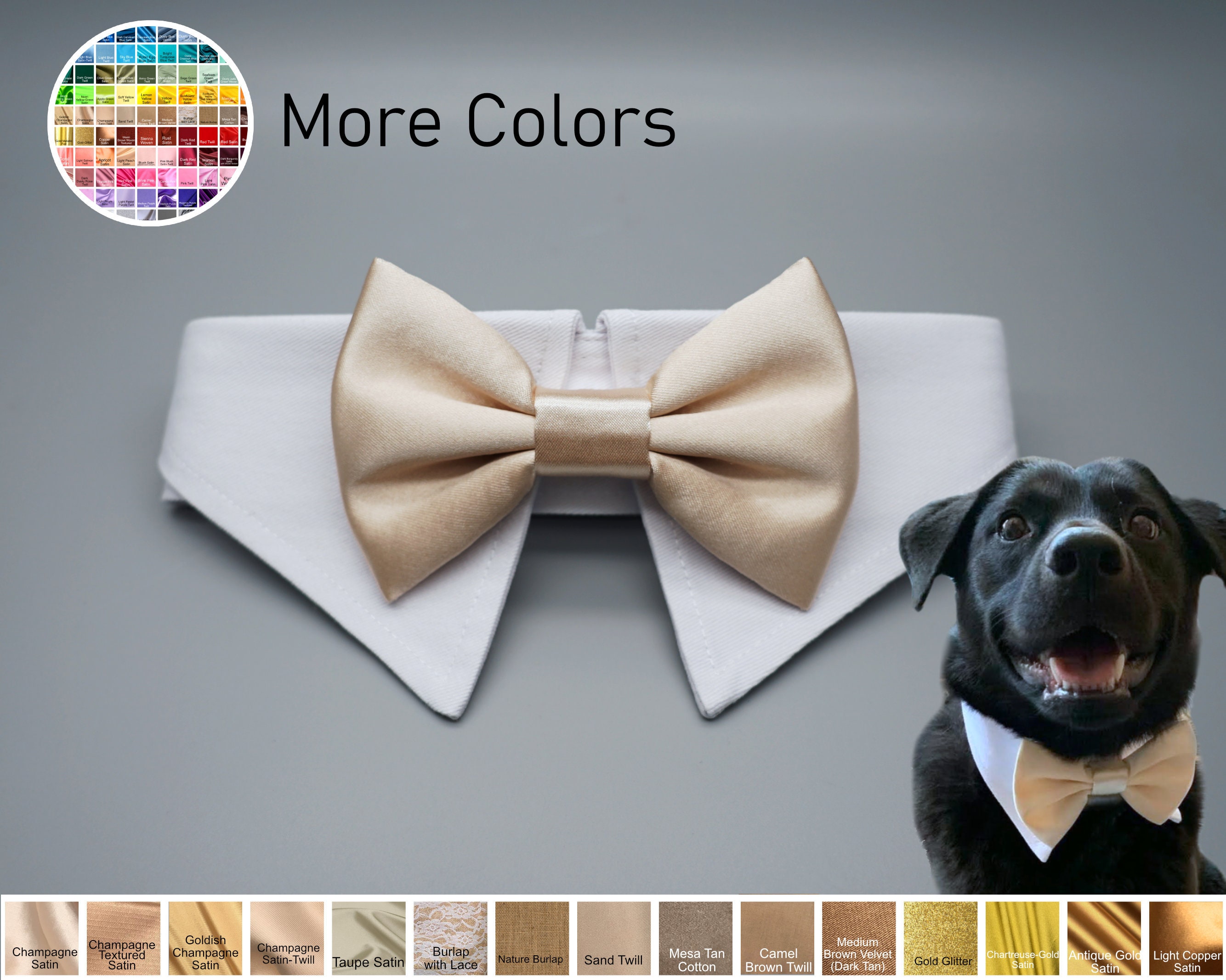 Champagne dog bow tie collar, dog shirt collar, dog bowtie, dog formal collar, pet cat dog wedding attire, bow tie, engagement photography