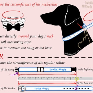May include: Diagram showing how to measure a dog's neck for a collar. The first method shows measuring the neck directly with a tape measure. The second method shows measuring the length of an existing collar from the end of the prong to the beginning of the buckle, and from the end of the buckle to the hole used to fasten the collar.
