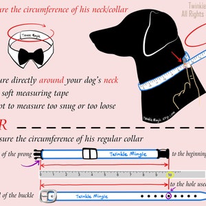 May include: Diagram showing how to measure a dog's neck for a collar. The first image shows how to measure the neck directly with a measuring tape. The second image shows how to measure the collar from the end of the prong to the beginning of the buckle. The third image shows how to measure the collar from the end of the buckle to the hole used to fasten the collar.