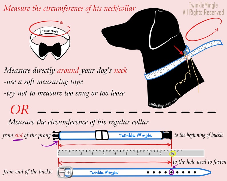 May include: Diagram showing how to measure a dog's neck for a collar. The first image shows how to measure the neck directly with a measuring tape. The second image shows how to measure the collar from the end of the prong to the beginning of the buckle. The third image shows how to measure the collar from the end of the buckle to the hole used to fasten the collar.