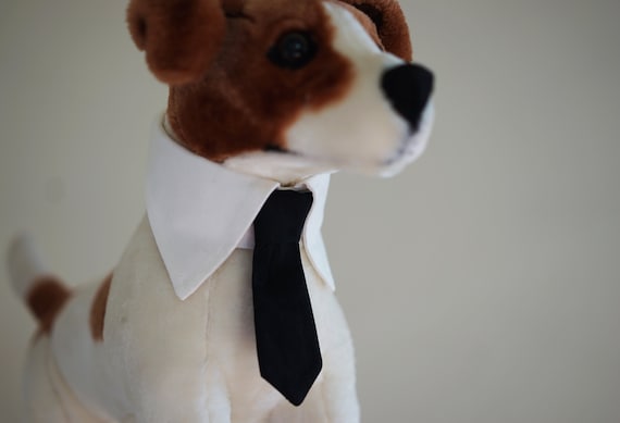necktie collar