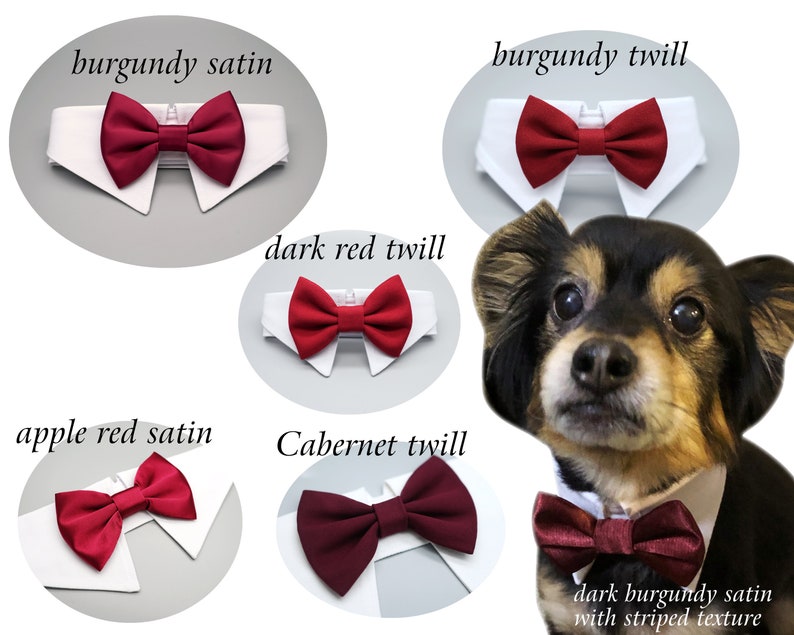 burgundy dog bow tie