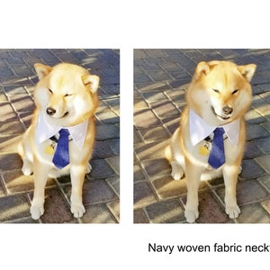 Red Tie for pets, Dog necktie collar, dog formal tuxedo collar, dog necktie, red dog tie, pet neck tie, pet / dog wedding collar red necktie image 5