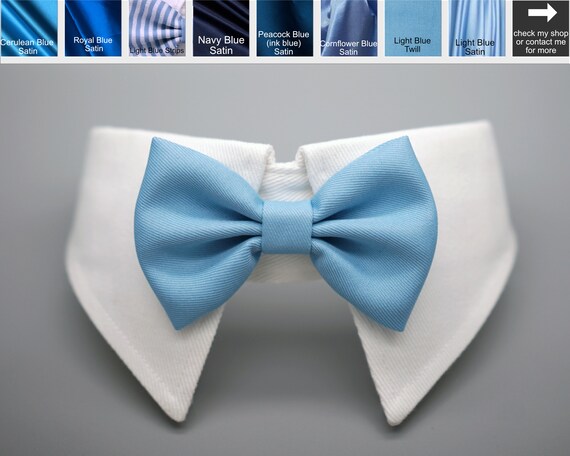 blue dog bow tie