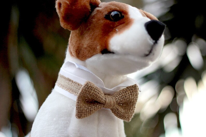 burlap dog bow tie collar, burlap wedding dog tuxedo collar, burlap bow tie for dog wedding, burlap dog bow tie, rustic wedding, woodland image 5